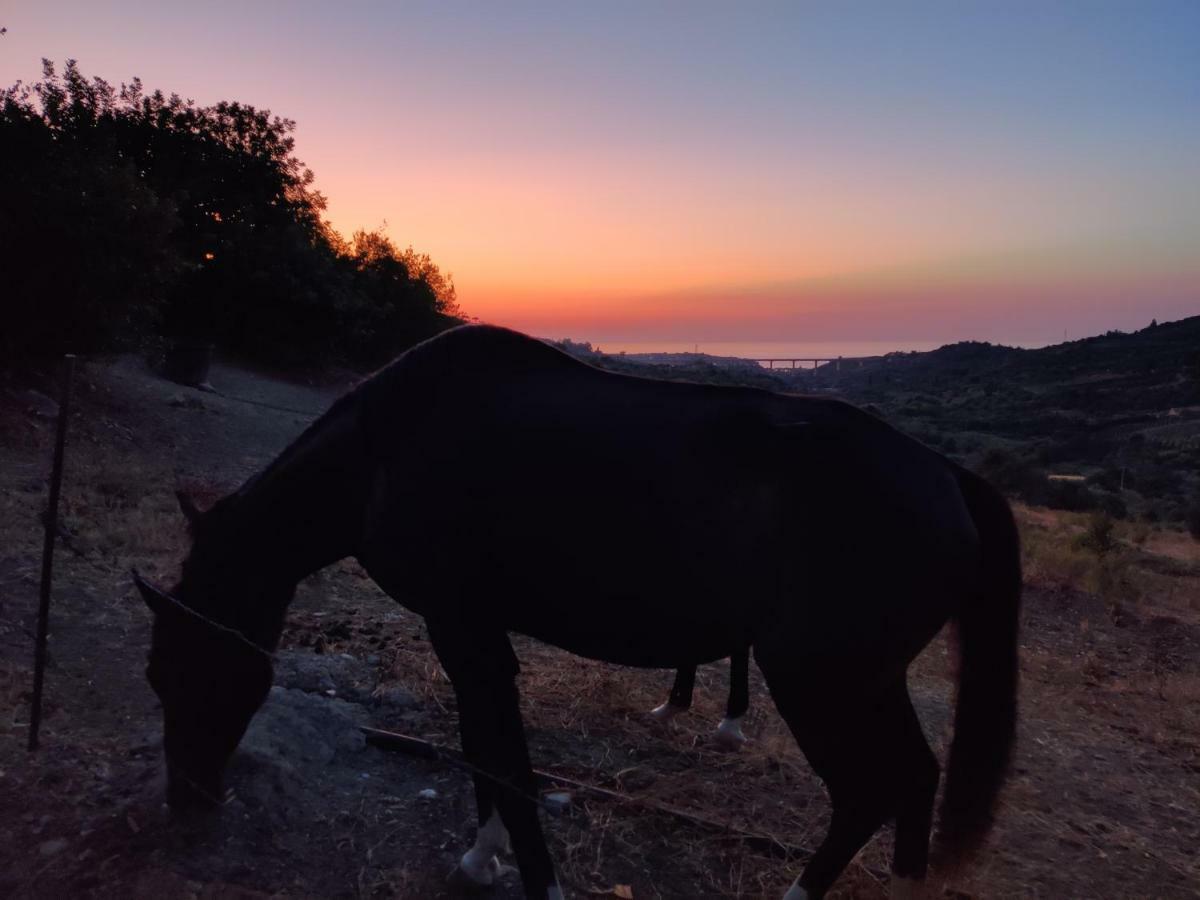 Casa Pizzido Near Cefalu Collesano Dış mekan fotoğraf